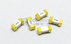 Surface Mount Fuses ,6125 ,10A ,125V ,Fast Acting Type ,Chip ,WALTER-6125SF ,-