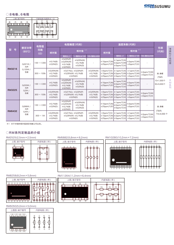 Susumu Resistance RM Series